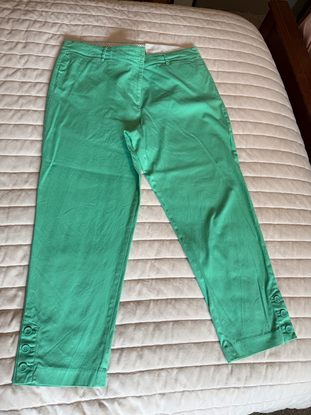 Talbots Mint Green Skinny Stretch Pants